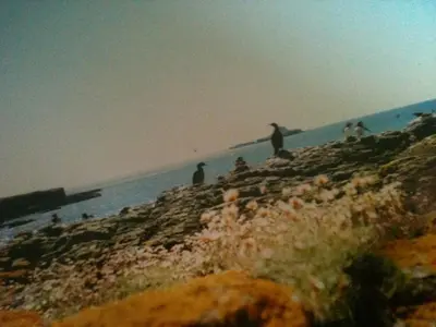 a group of people standing on a beach near the ocean at Cottage-IsleofMull-StunningViews-WiFi-Parking in Bunessan