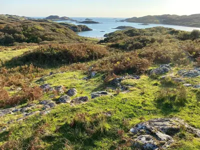 a grassy hill with the ocean in the background at Cottage-IsleofMull-StunningViews-WiFi-Parking in Bunessan