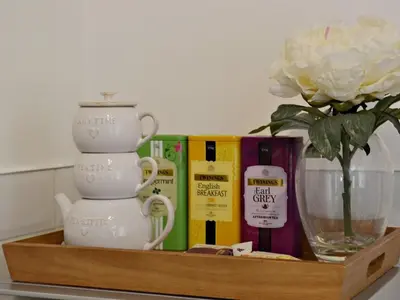 a shelf with a vase and a flower and books at Craignish Apartments in Falkirk