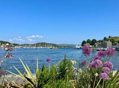 a view of a body of water with purple flowers at Crossaig Farm House in Crossaig