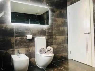 a bathroom with a toilet and a sink and a mirror at The Orchard Apartment, Clyde Valley in Dalserf