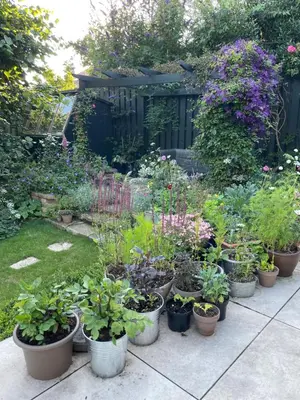 a garden with many pots of plants and flowers at Beautiful double room B&B great location homeshare Edinburgh in Edinburgh