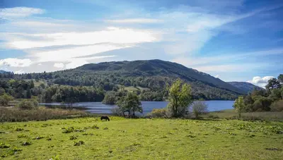 a horse grazing in a field next to a lake at Bruach in Balquhidder