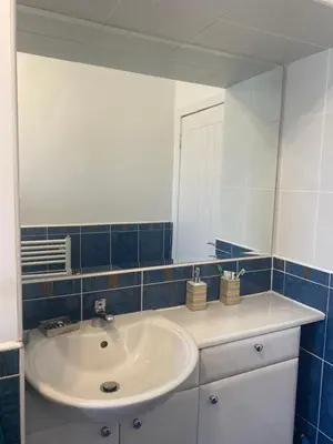 a bathroom with a sink and a mirror at Frans Place in Edinburgh