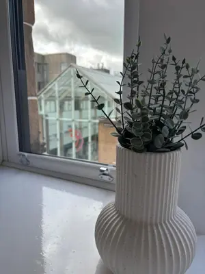 a white vase with a plant in a window at 6 Smithhills - Sleeps 3 Central Excellent Transport Links Glasgow & Airport in Paisley