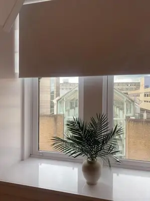 a plant in a vase sitting on a window sill at 5 Smithhills Paisley Central GLW & Glasgow access in Paisley