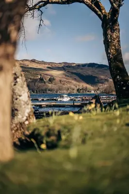 a boat in a body of water with a tree at Loch Earn leisure park in Saint Fillans