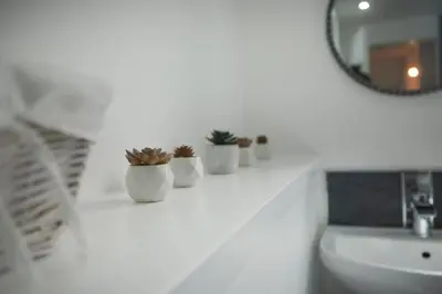 a bathroom with a white counter with cactuses and a mirror at A stunning And Slick Escape in Stonehouse