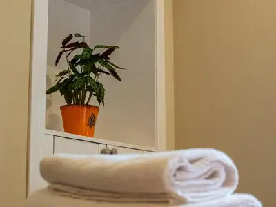 a plant in a mirror next to a towel at Cairnies - Uk47886 in Keilour