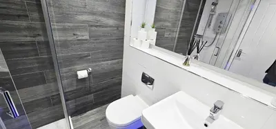 a bathroom with a toilet and a sink and a shower at Boghead Cottage The West Wing in Bathgate