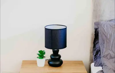 a black lamp sitting on a table with a plant at Glasgow City 1 Bedroom Apartment in Glasgow