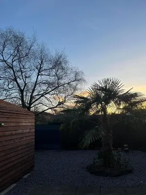 a palm tree in a yard with a fence at Pod at Lonan drive in Oban