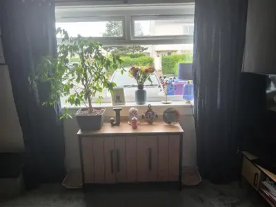 a room with a window with a table with a plant at Gadsby manor in Drumchapel
