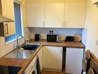 a kitchen with a sink and a microwave on a counter at Modern apartment in Stenhousemuir in Stenhousemuir