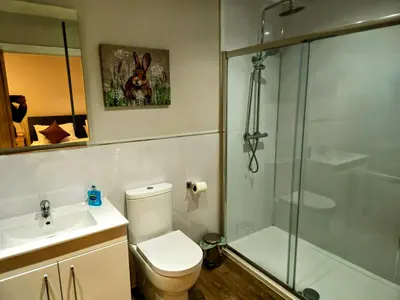 a bathroom with a toilet and a shower and a sink at Family and dog friendly stunning barn conversion in Tarbolton