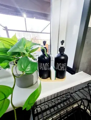 two black bottles on a shelf next to a plant at Bright 3BR walking distance to town - FREE parking in Glasgow