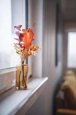 a vase with flowers sitting on a window sill at Franklin Place in East Kilbride