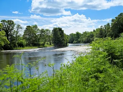 a river with trees on the side of it at Beautiful Cottage in Historical Robert Burns Farm - Pass the Keys in Dumfries