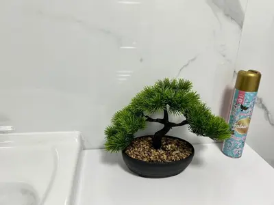 a small plant sitting on top of a counter at Charming home away from home! in Edinburgh