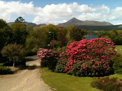 a garden with pink flowers on a dirt road at Strathwhillan House in Brodick