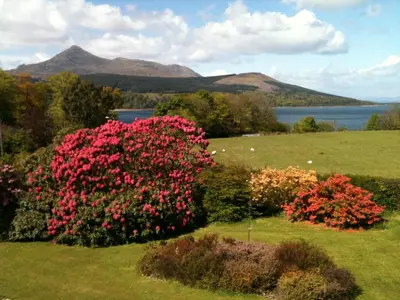 a group of flowers in a field next to a lake at Strathwhillan House in Brodick