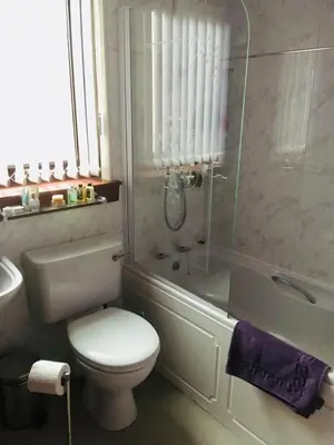 a bathroom with a toilet and a shower and a sink at Farmhouse in Clydebank