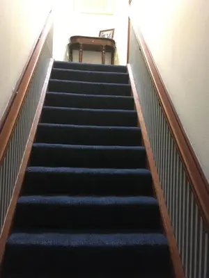 a flight of stairs in a building with blue carpet at Farmhouse in Clydebank