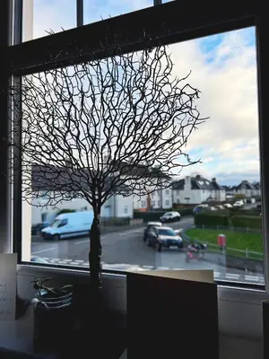 a tree in a window with a view of a street at Peace in the City in Edinburgh