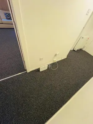 a room with an open door with black carpet at Cosy flat in Glasgow in Maryhill