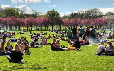 a crowd of people sitting on the grass in a park at Stunning refurbished main door Marchmont apartment in Edinburgh