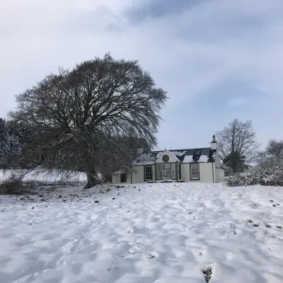 a white house in the snow with a tree at Gorgeous boutique off-grid cottage near Peebles in Peebles