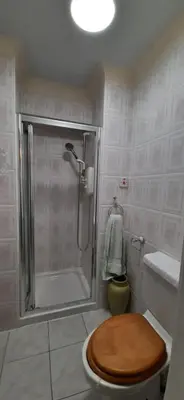 a bathroom with a shower and a toilet with a wooden seat at Marshill Farmhouse in Blackwood