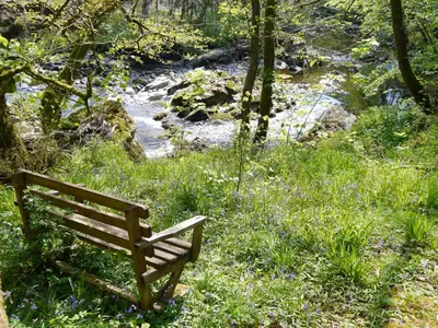 a bench sitting in the grass next to a river at Shinnel House in Thornhill