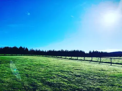 a grassy field with a fence and trees in the background at Barnharrow Holiday Pods in Newton Stewart