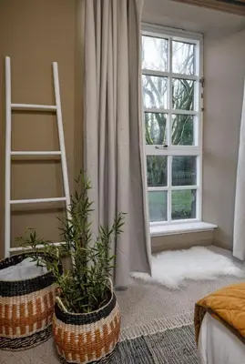 a living room with two plants and a window at The Mill Retreat in Stirling