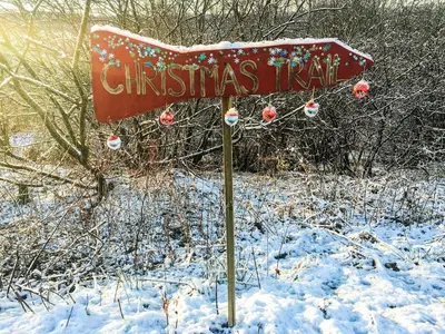 a christmas trail sign in the snow at 12 & 14 On the Hill Aberfoyle, twin holiday cottages in Scenic Loch Lomond & Trossachs National Park in Aberfoyle