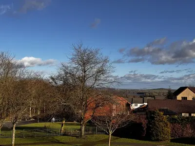 a group of trees in a field with houses at Loch Ore View in Kelty