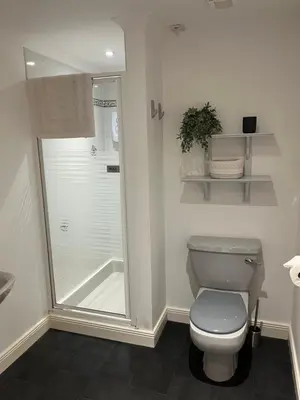 a bathroom with a toilet and a shower at The Coach House in Stirling