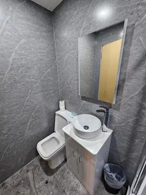 a bathroom with a toilet and a sink and a mirror at 2 bed Renfield st City Center in Glasgow