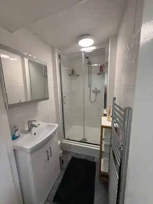 a white bathroom with a shower and a sink at Flat in Central Edinburgh Old town in Edinburgh