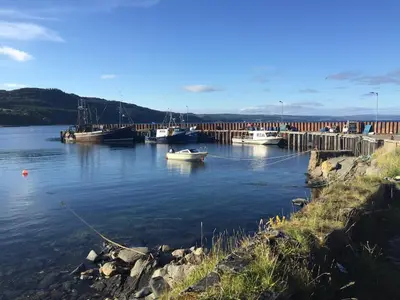 a group of boats are docked in a body of water at Holiday home, Carradale in Carradale