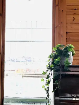 a potted plant sitting on a window sill at Top Floor Apartment with Castle Views in Edinburgh