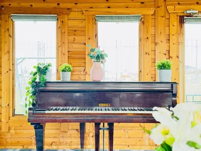 a piano in a room with windows with potted plants at Top Floor Apartment with Castle Views in Edinburgh