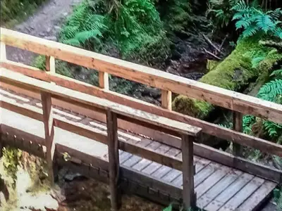 a wooden bench sitting on top of a trail at Grouse Lodge in Dunoon