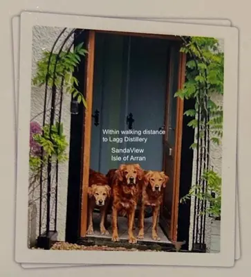 two dogs standing in an open door of a building at Sanda View, Isle of Arran in Sliddery