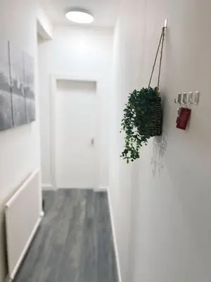 a hallway with a plant hanging from a wall at King Apartment in Falkirk