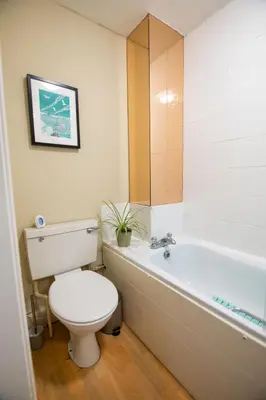 a bathroom with a toilet and a bath tub with a plant at Cosy City Centre Gem in Edinburgh