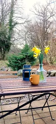 a wooden table with a bowl and flowers on it at Red Deer Cottage at Fanans in Oban