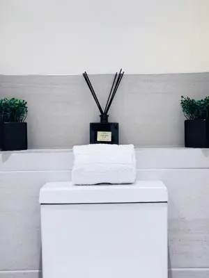 a white toilet with a plant on top of it at Elegant City Centre Apartment in Edinburgh