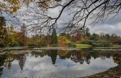 a pond in a park with trees reflecting in it at 5 lochview in Beattock